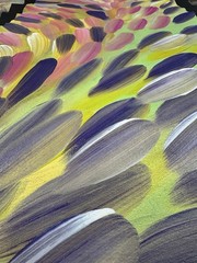 Esther Haywood Petyarre 💕Aboriginal Art COA Supplied. 93cm X 59cm. EPH101
