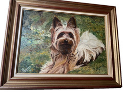 Francis PASQUIER Signed – Yorkshire Terrier Dog in the Meadow – Oil Painting