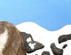 Coyote, Dogs, Wild Dogs, Fox, Wolves