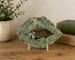 Hand Painted Badger on Natural Stone Slab Signed H Marty 1986 Wildlife 6×4”