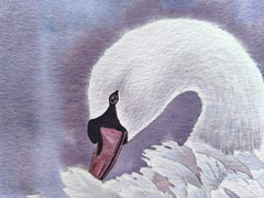 BIRDS SNOWY WHITE SWAN LOVE Original Painting Landscape National Park CA Gift A4