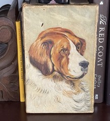 Antique Original Saint Bernard Oil Painting – Unframed – READ