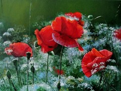 Red Poppy Original Oil Painting 30×40 cm – Floral Meadow Art