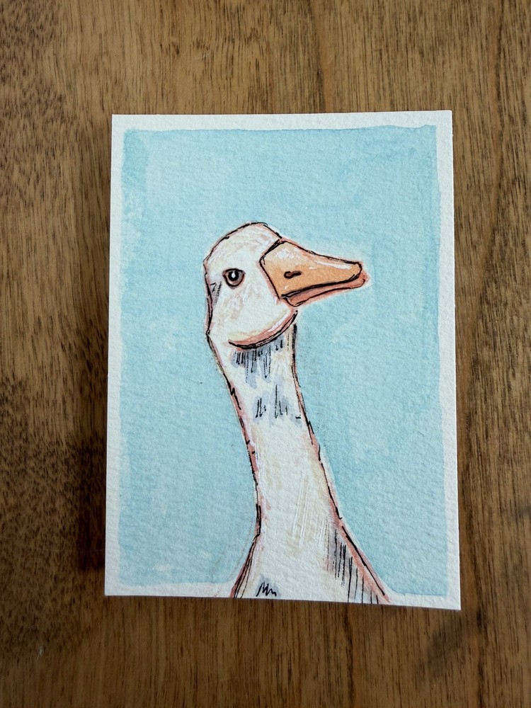 ACEO Original goose duck bird, animal cartoon illustration wildlife 2.5 x 3.5in
