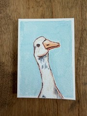 ACEO Original goose duck bird, animal cartoon illustration wildlife 2.5 x 3.5in