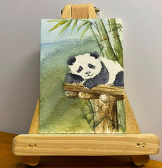 Original ACEO Watercolor Painting OOAK Panda Bear Bamboo Animal Miniature Art