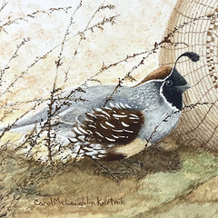 Carol McLaughlin Kortnik „California Quail“ Original Framed Wildlife Art