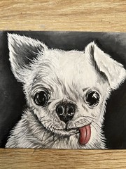 Chihuahua Painting