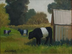Belted Galloway Oreo Cows Oil Painting 11×14 Original Art Cows Farm Sallows