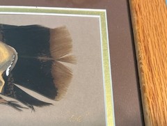 John Eberhardt Turkey Feather Painting “THE BUCK FEATHER” 22.5”X10.5” Frame 2006