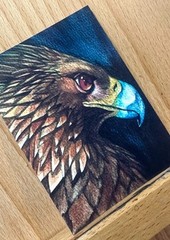 ACEO Print Watercolor Original Golden Eagle Bird Artwork by Char Reed