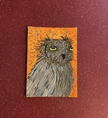 ACEO Original Acrylic Owl Painting 2.5 X 3.5”. Golden Gaze