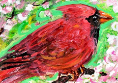 ORIGINAL ACEO BIRD Painting Male Northern CARDINAL Spring Nature Bird ATC ART