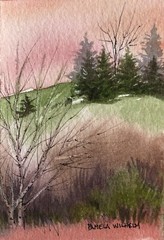 Original Watercolor ACEO 2.5”x3.5” By Pamela Wilhelm Peach Pink Pines Tree