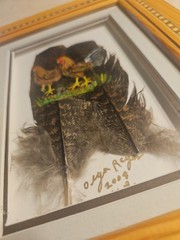 Beautiful Framed Feather Painting of Rooster &Hen by Olga E Reyes Signed 2008