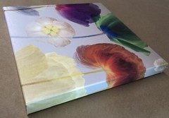 Poppy Panorama by Mertens 2-pc Gallery-Wrap Canvas Giclee Set (18 x 18 in Each)