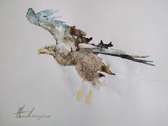 Eagle, Birds, Watercolor artwork, Handmade, Original painting on paper
