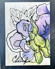 ACEO Pansy Flower Ink & Watercolor, ATC Artist Trading Card C1