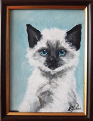 Siamese Cat Painting Pet Original Art Framed 7 x5 Cat Blue Eyes Oil Painting