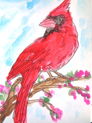 ACEO RED CARDINAL BIRD Painting ART