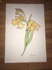 VNTG Patricia Rhodes WATERCOLOR signed ORIGINAL floral YELLOW IRIS STEM unframed
