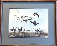 David Hagerbaumer Original Watercolor Painting Canadian Geese Framed 19″ X 23.5″