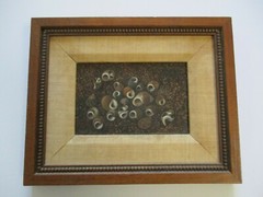 CAROLINE BENTLEY PAINTING SMALL GEM SEA SHELLS COASTAL NAUTICAL STILL LIFE MOD