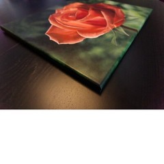 Rose Original Oil Painting, orange, realistic flower, classic, beautiful, love