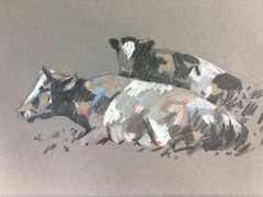 Heinrich Witteler 2 lying cows charcoal drawing white height anthracite