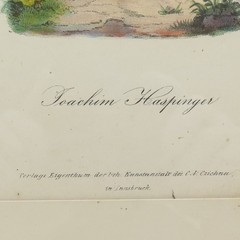 ANTIQUE End XIX Hand-Colored Lithograph Joahim Hastinger C.A.Czichna