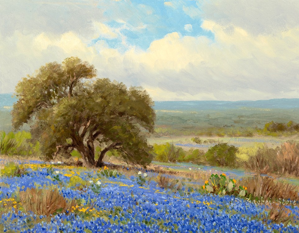 Texas Bluebonnets Landscape Oil Painting Giclee Art Printed on canvas L3861