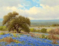 Texas Bluebonnets Landscape Oil Painting Giclee Art Printed on canvas L3861