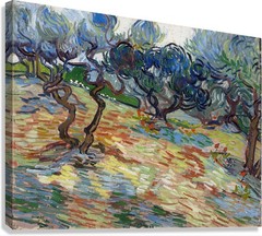 Vincent van Gogh Olive Trees Reproduction – Giclee Canvas/Paper/Stretched