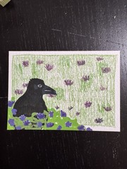 ACEO ATC Original Crow Raven Bird Flowers Corvid Black Lookout AnnieMakesArt