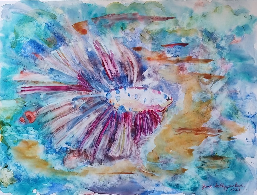 Original Art Siamese Fighting Tropical Ocean Fish Watercolor on Yupo Paper COA