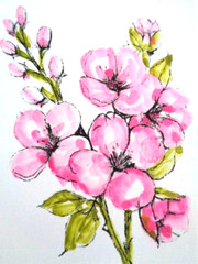 ACEO Original PINK CHERRY BLOSSOM FLOWERS Watercolor Painting
