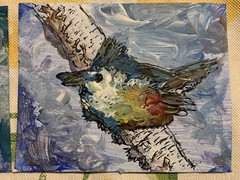 Original Artwork Blue Bird Titmouse Birds Animal ACEO Handmade Signed By Artist