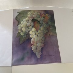 Janice Sumler White Grapes Painting Print. 11” X 14” Signed Reproduction EUC