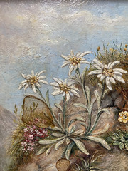 ::OIL PAINTING MEADOWS ALPS ° ILLEGIBLY SIGNED ° EDELWEISS AT THE MOUNTAIN TOP MINIATURE