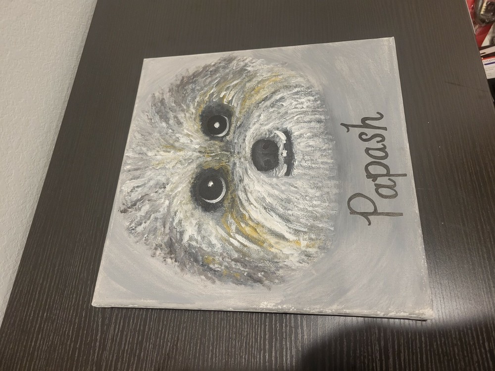 12 X 12 Canvas Painting Dog Papash Grey Black White and Hints of Yellow