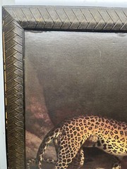 Two Leopards Playing Jacques-Laurent Agasse Lying In Exeter Reproduction 24 x 30