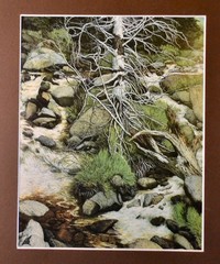 “The Forest Has Eyes ,NDN Book w/ Prints ! Book is Hand Signed by Bev Doolittle