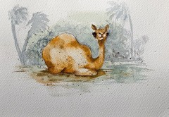 Origional Watercolor painting of Camel by a pond 8×11 inch illustration