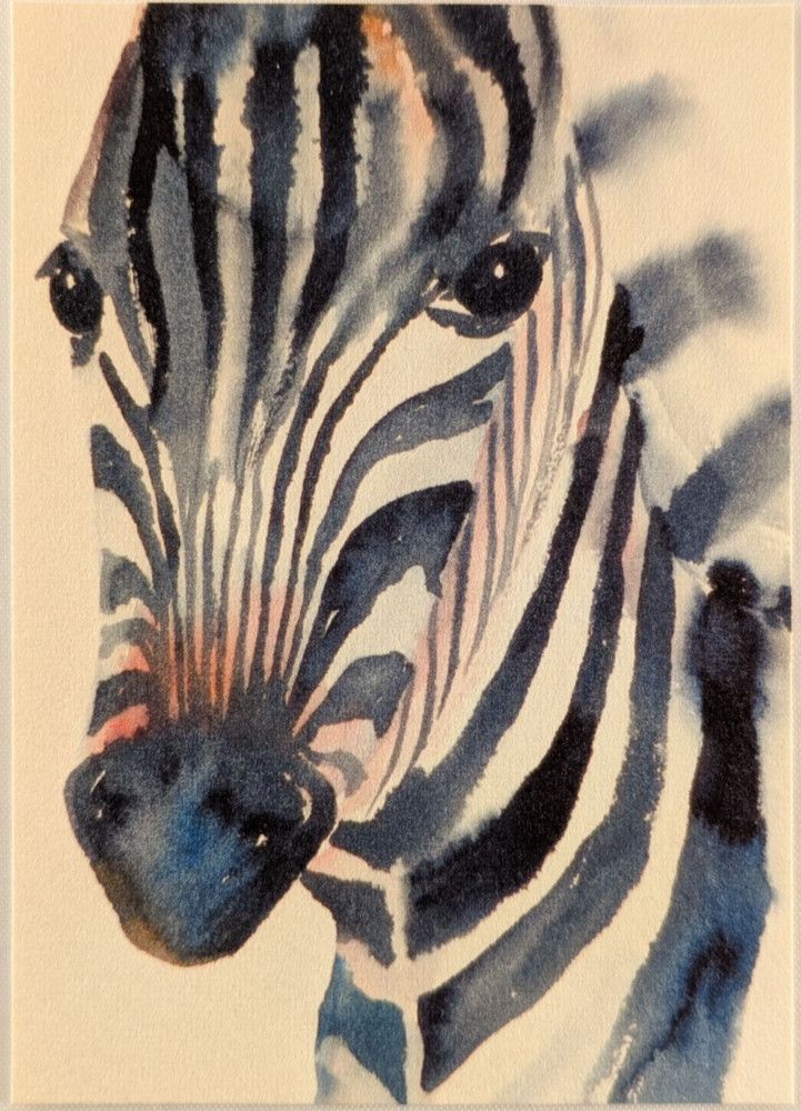Ltd Edition ACEO Print #10 of 50 of a ZEBRA FACE by ROBERT HOOPER