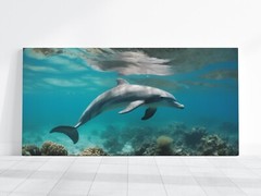 Dolphin Ocean Photo Print Art, Coral Reef Picture Wall Decor, Landscape Print