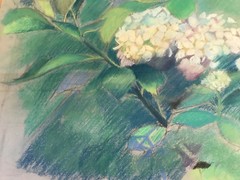 Large „Flowers On A Branch Scene“ Colored Pencil Drawing – Signed And Framed