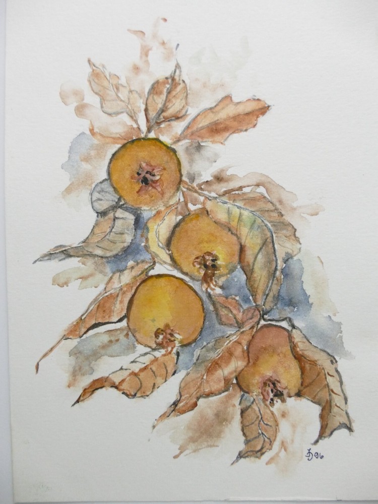 Ingeborg Jakob Wilhelmshaven Watercolour Hand Signed Dated 13×18.5cm To-5021
