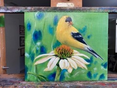 GOLDFINCH AND CONEFLOWER ~ Realistic Oil Painting on Board ~ FREE SHIPPING