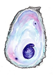 Original Oyster Shell Watercolor Painting 5 x 7 Beach House Gift, Sharon Foster