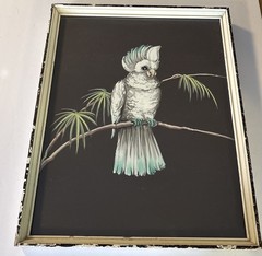 MCM Framed VTG Colorful Cockatoo Bird Painting Tropical Unsigned 14.75”x 11.75”